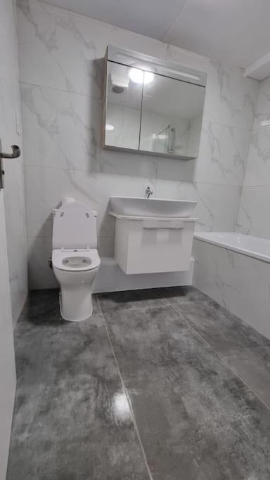 Brand New Flat Close To Turnpike Lane Tube Station London Eksteriør billede